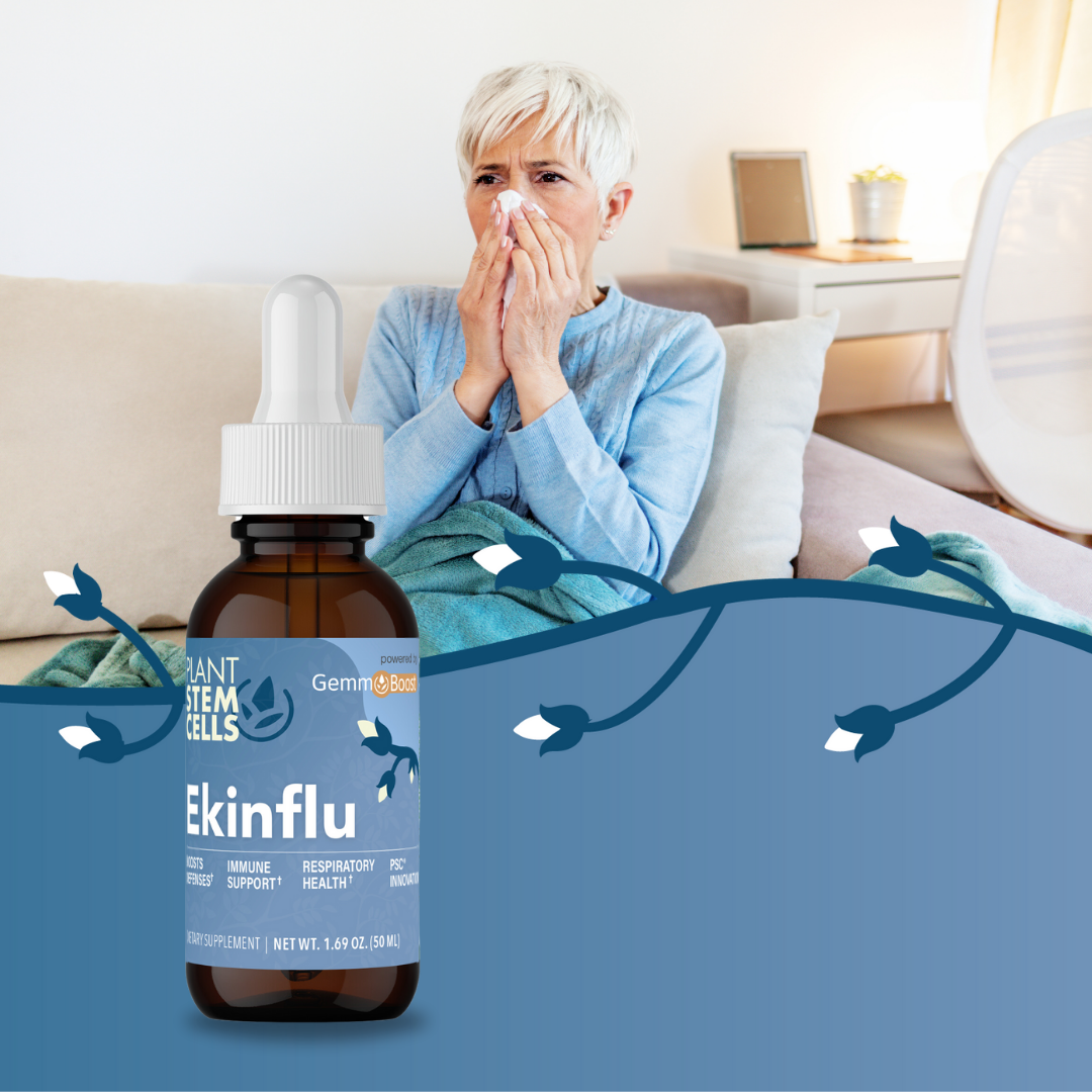 Ekinflu with Echinacea (Purple ConeFlower) PSC GemmoBoost