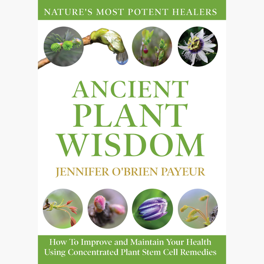 Book: Ancient Plant Wisdom - Jennifer Payeur's new book, signed copy!