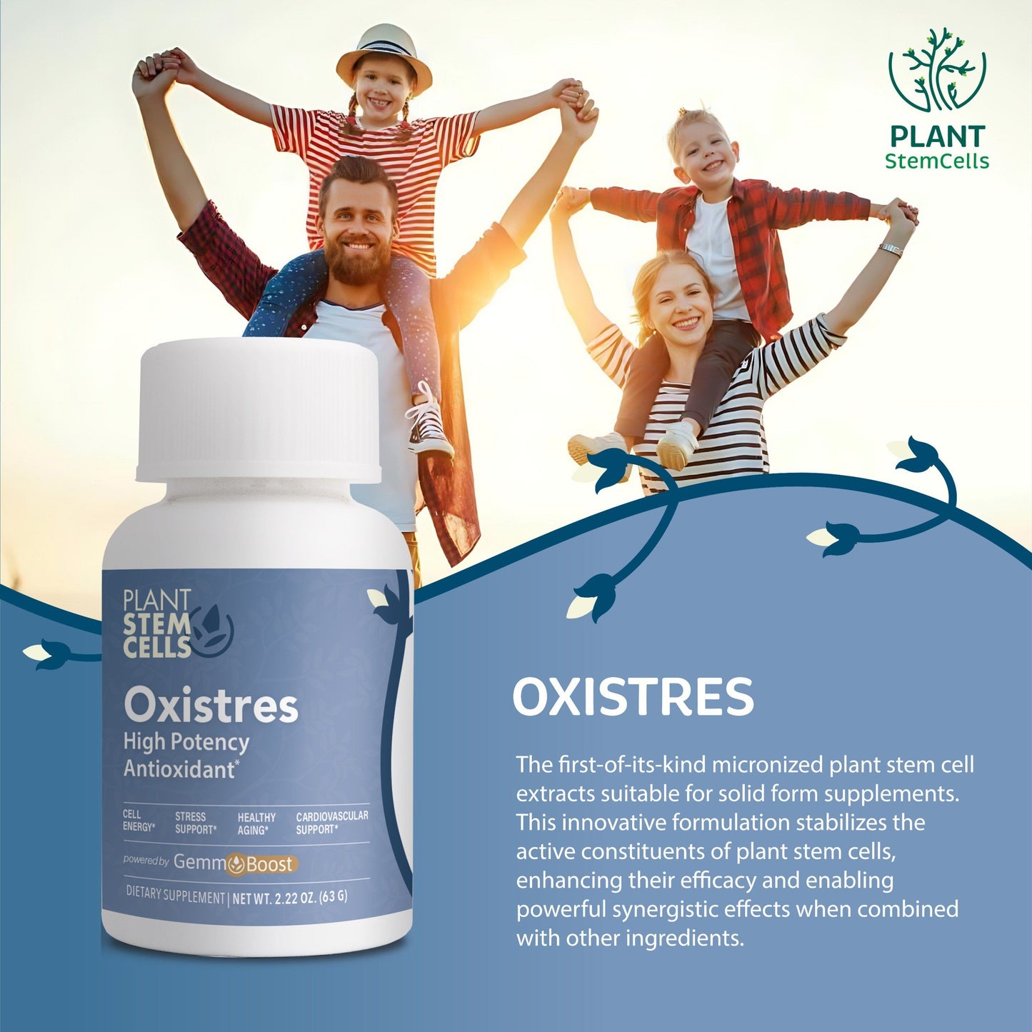 Oxidative Stress/Inflammation